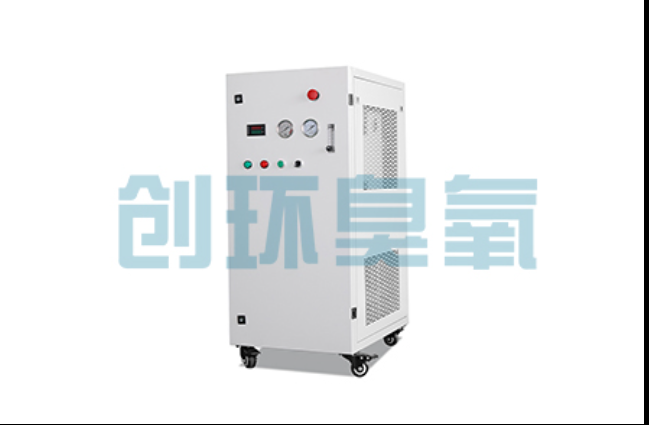高邑工厂化养鲈必看：2026年臭氧发生器替代传统消毒的最新方案