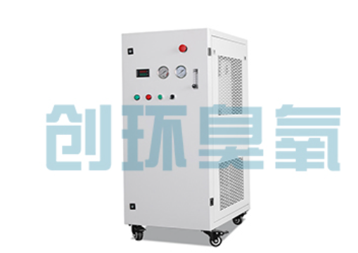 高邑石斑鱼养殖水质调控完整指南:臭氧发生器配置与操作步骤