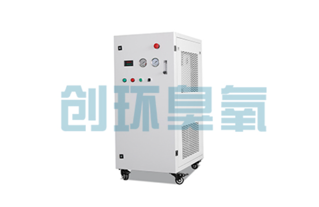 高邑比传统换水更高效?臭氧发生器在石斑鱼养殖中的水质净化原理解析